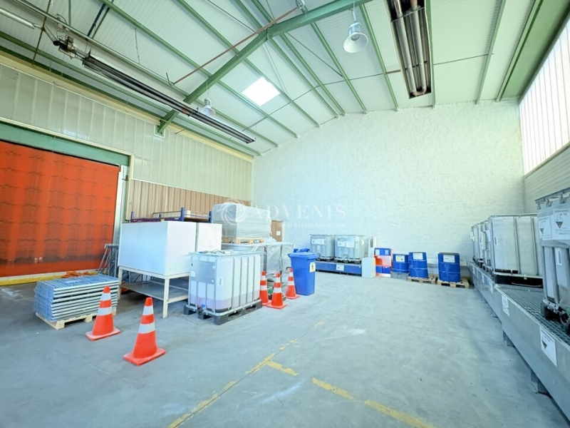 Vente Investisseur Activités Entrepôts DUTTLENHEIM (67120) - Photo 15
