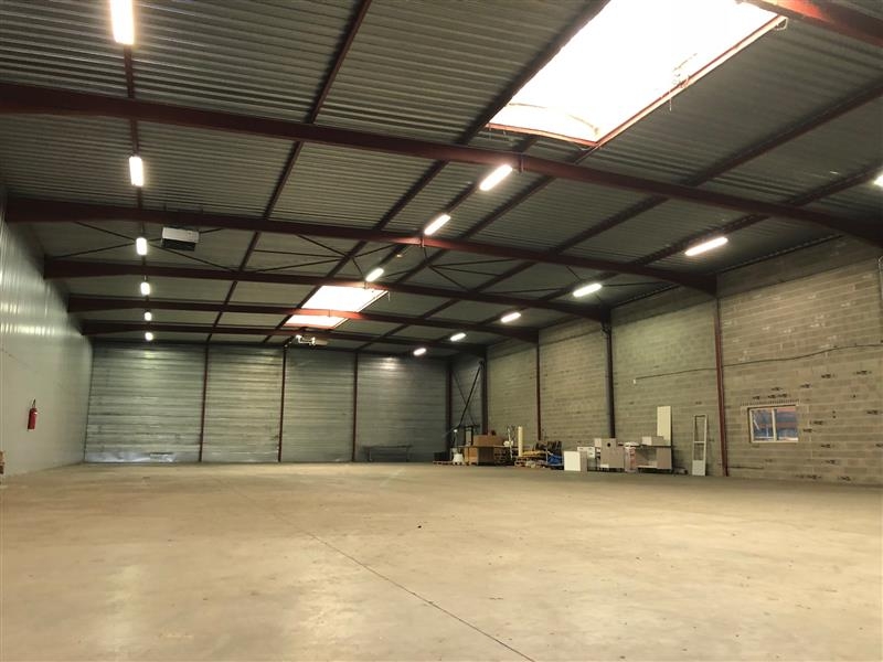 Location Activités Entrepôts GEISPOLSHEIM (67118) - Photo 3