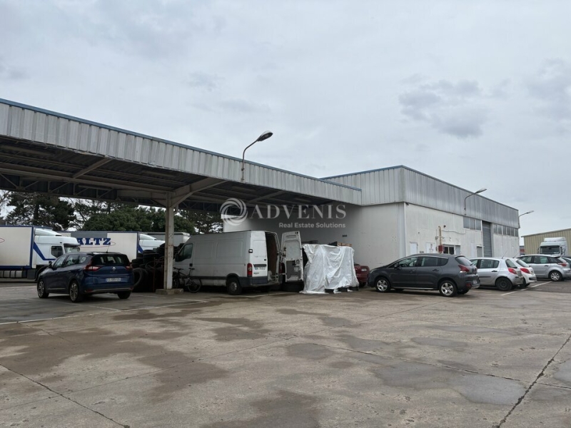 Location Activités Entrepôts ILLKIRCH GRAFFENSTADEN (67400) - Photo 2