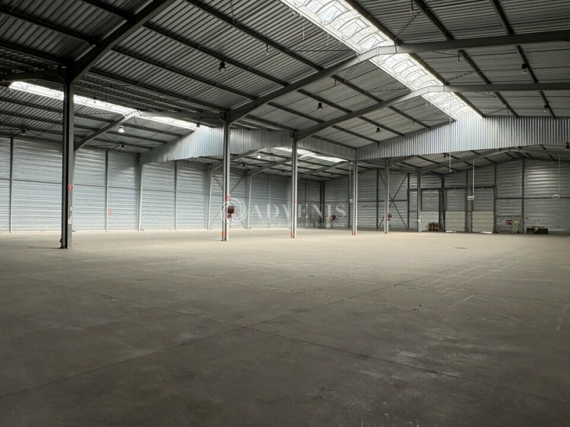 Location Entrepôts STRASBOURG (67000) - Photo 6
