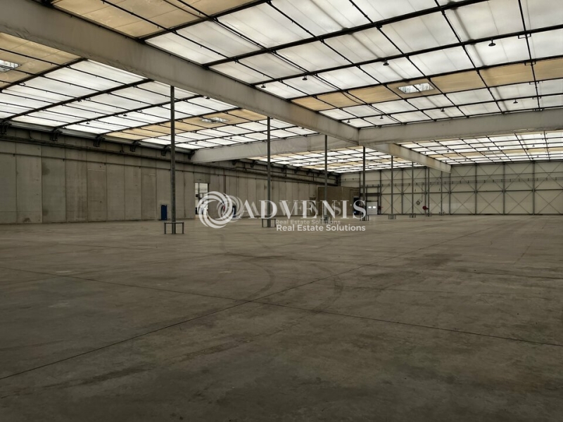Location Entrepôts STRASBOURG (67000) - Photo 10