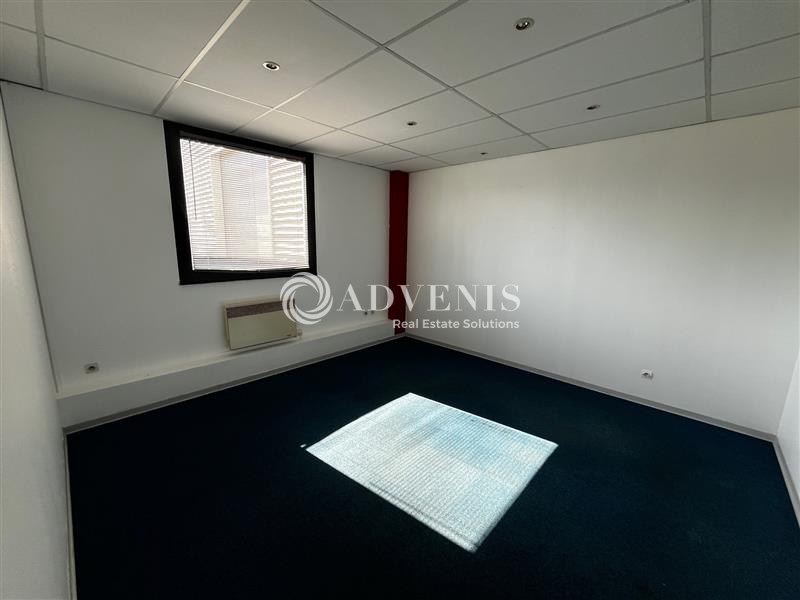 Location Activités Entrepôts HOENHEIM (67800) - Photo 3