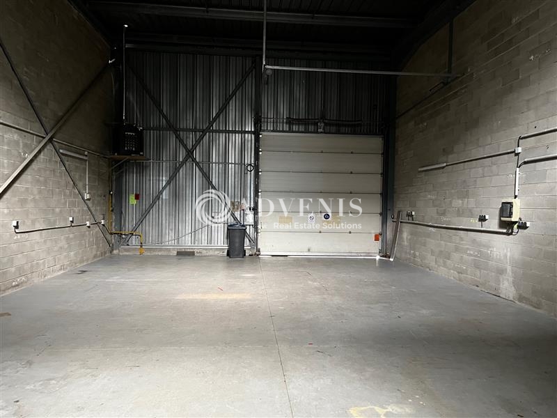 Location Activités Entrepôts HOENHEIM (67800) - Photo 6