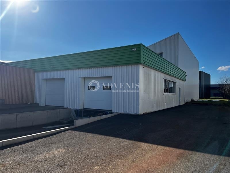 Location Bureaux et activités légères HOERDT (67720) - Photo 9