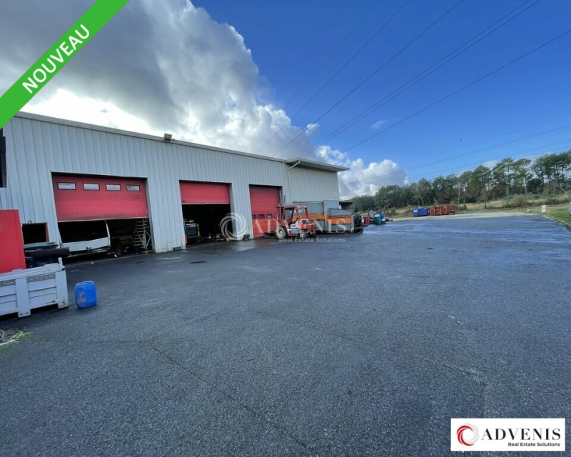 Vente Investisseur Activités Entrepôts PESSAC (33600) - Photo 1