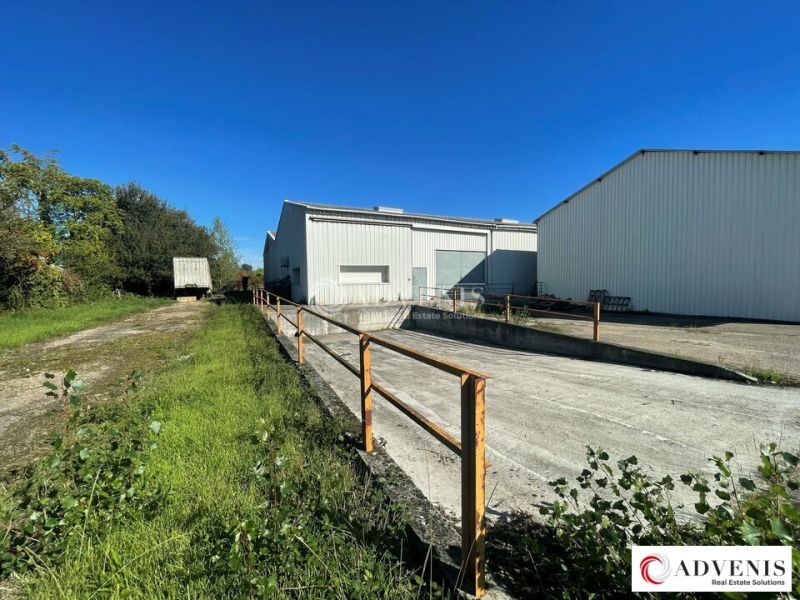 Location Activités Entrepôts VILLENAVE D'ORNON (33140) - Photo 2