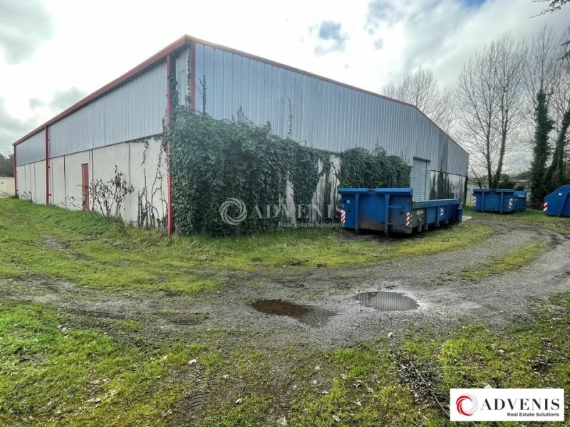 Location Activités Entrepôts MARTILLAC (33650) - Photo 8