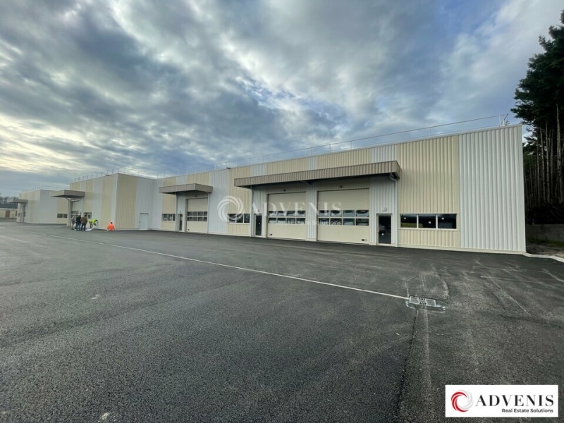 Location Activités Entrepôts BLANQUEFORT (33290) - Photo 1