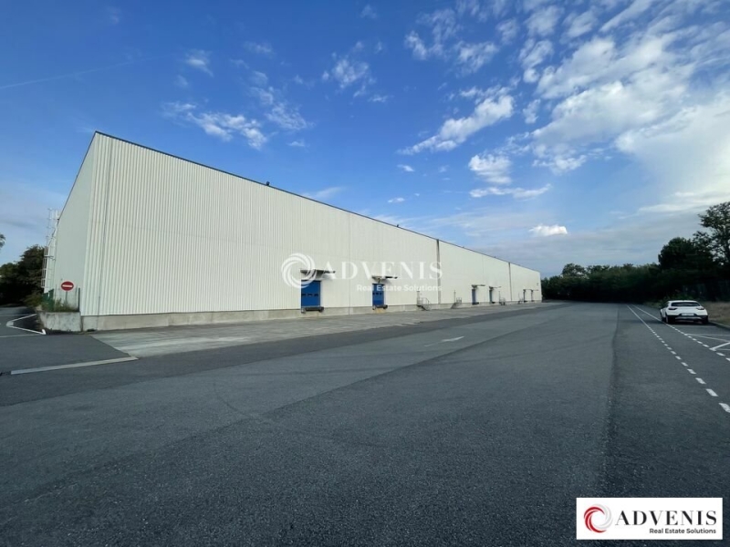 Location Activités Entrepôts CESTAS (33610) - Photo 1