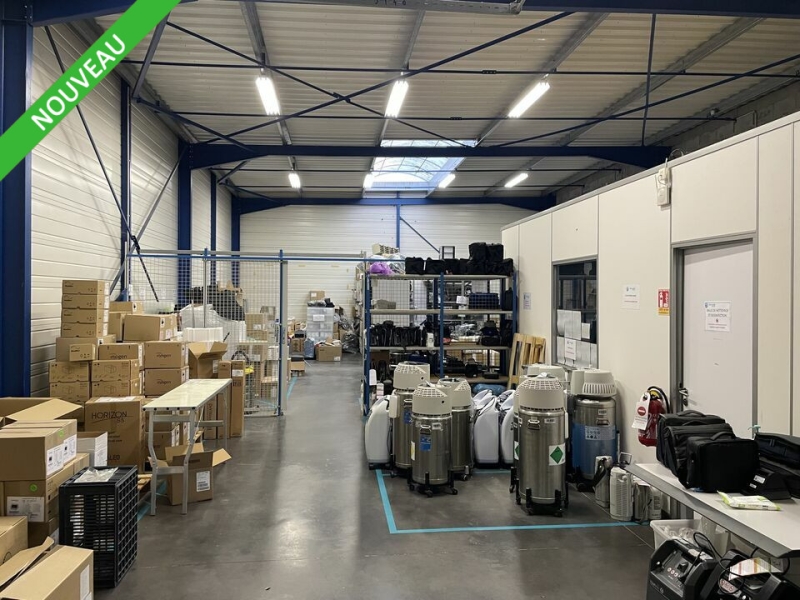 Vente Investisseur Activités Entrepôts ARTIGUES PRÈS BORDEAUX (33370) - Photo 8