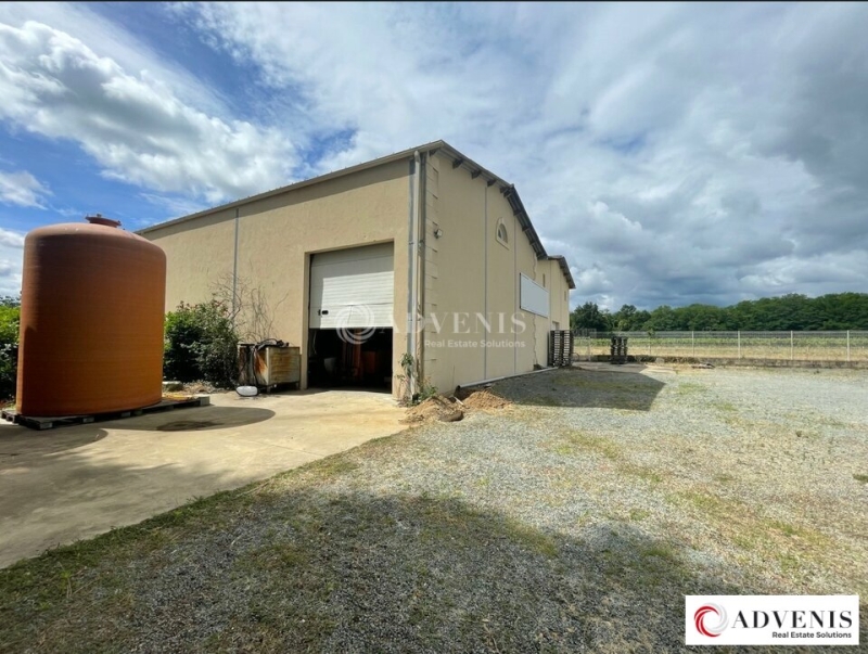 Location Activités Entrepôts BEAUTIRAN (33640) - Photo 1