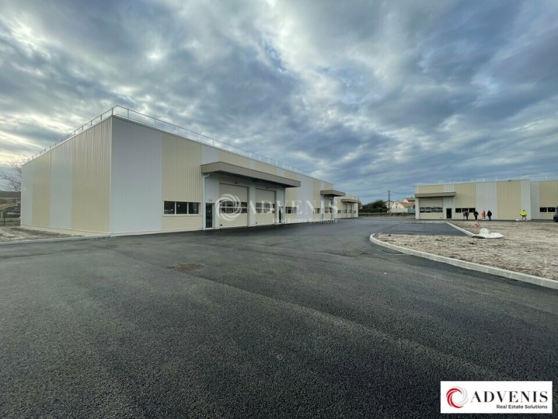 Vente Investisseur Activités Entrepôts BLANQUEFORT (33290) - Photo 5