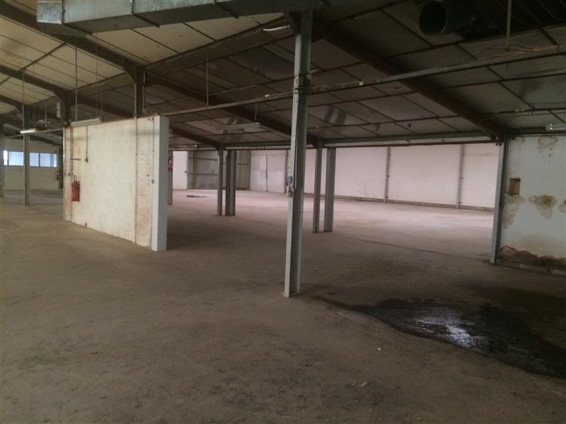Location Activités Entrepôts TERRASSON LAVILLEDIEU (24120) - Photo 3