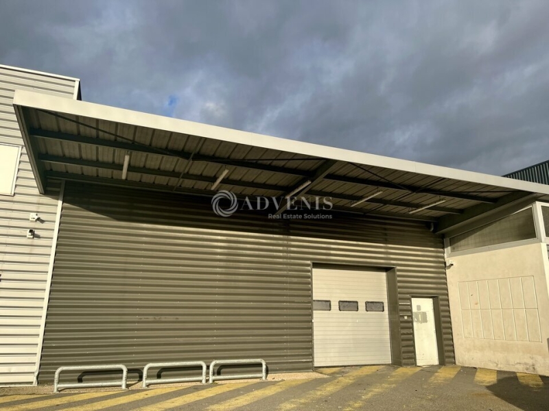 Vente Investisseur Activités Entrepôts CHANTELOUP LES VIGNES (78570) - Photo 11