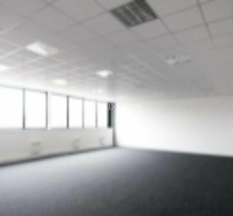 Location Activités Entrepôts LISSES (91090) - Photo 2