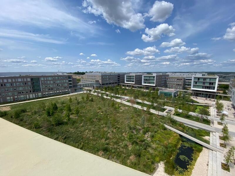 Location Bureaux PALAISEAU (91120) - Photo 12