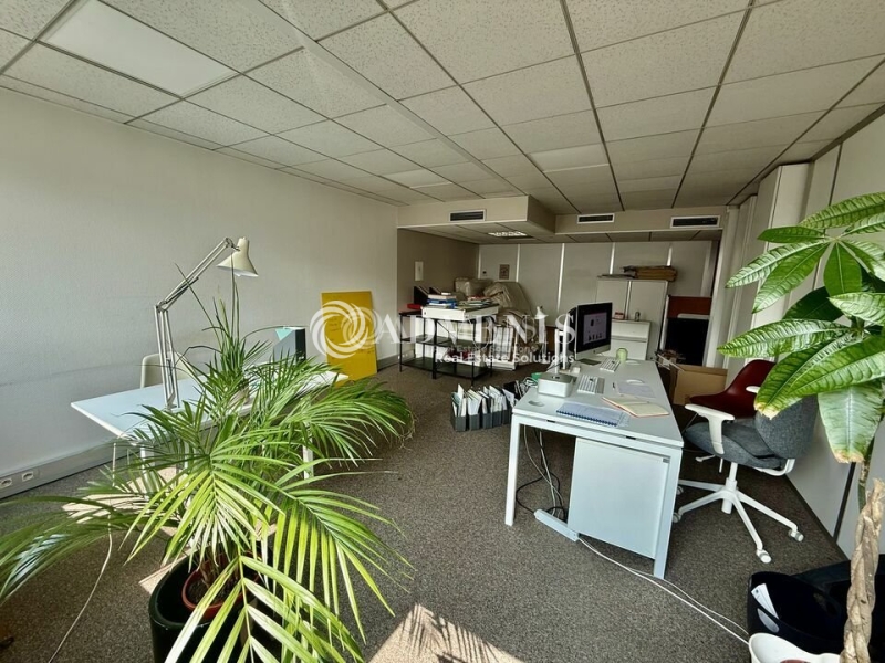 Location Bureaux LYON (69006) - Photo 4