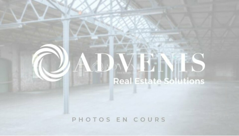 Location Activités Entrepôts GENAS (69740) - Photo 5