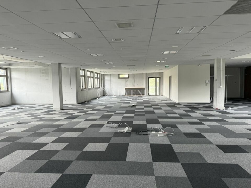 Location Bureaux LYON (69009) - Photo 11