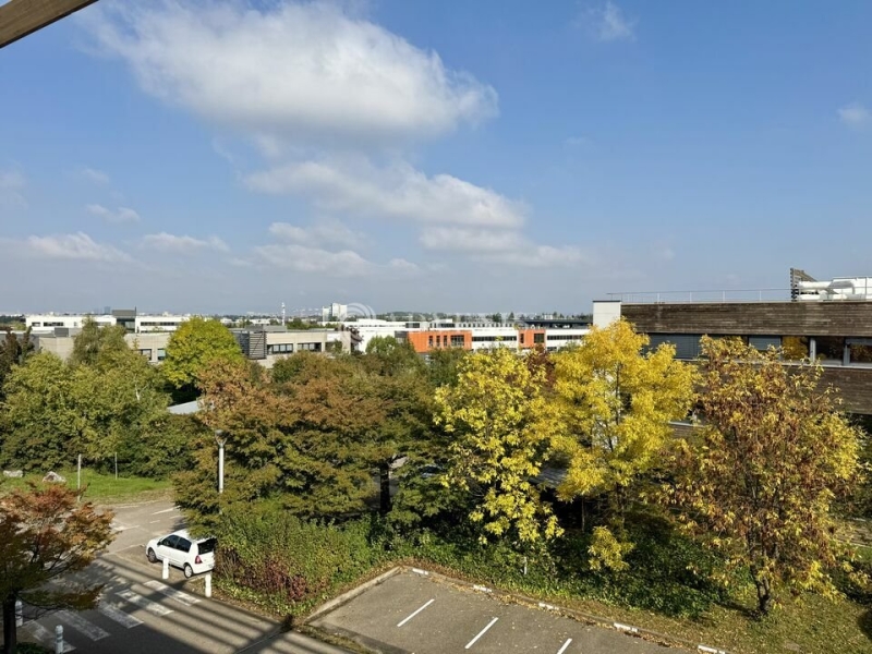 Location Bureaux SAINT PRIEST (69800) - Photo 6