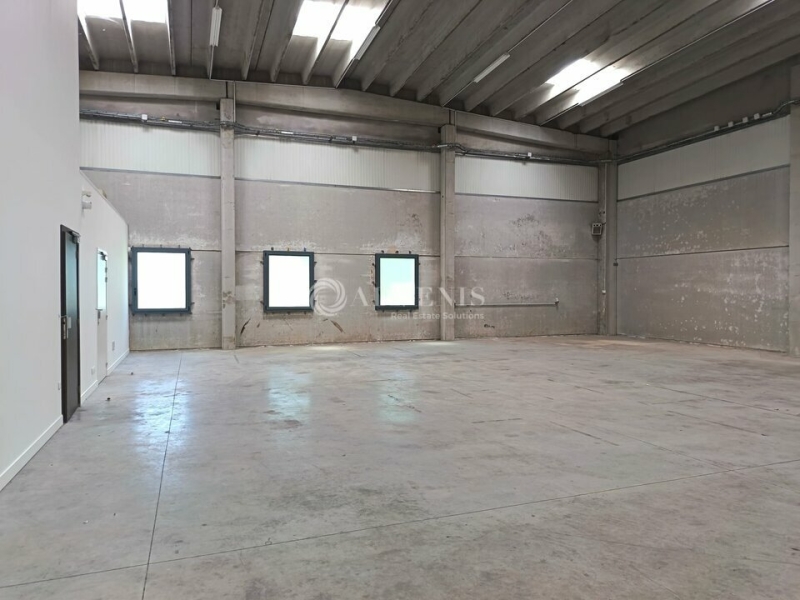 Location Activités Entrepôts TEMPLEMARS (59175) - Photo 5