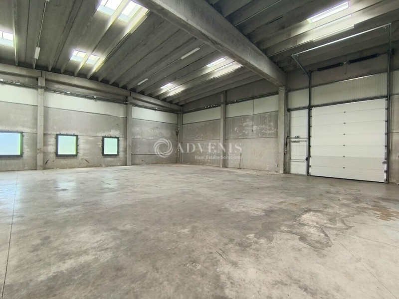 Location Activités Entrepôts TEMPLEMARS (59175) - Photo 6