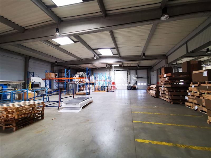 Location Entrepôts SAINGHIN EN MELANTOIS (59262) - Photo 2