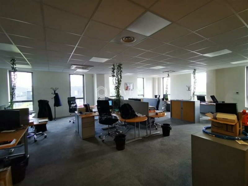 Location Entrepôts LESQUIN (59810) - Photo 9