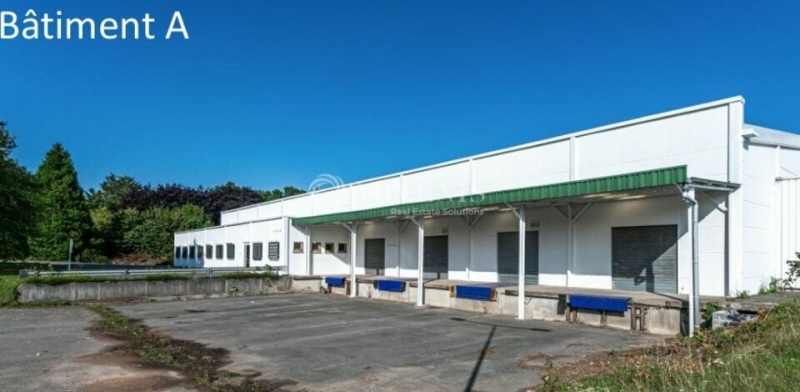 Vente Investisseur Entrepôts DOURGES (62119) - Photo 3