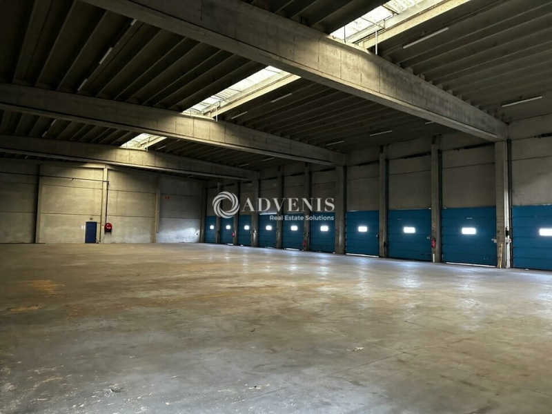 Vente Investisseur Entrepôts RONCQ (59223) - Photo 6