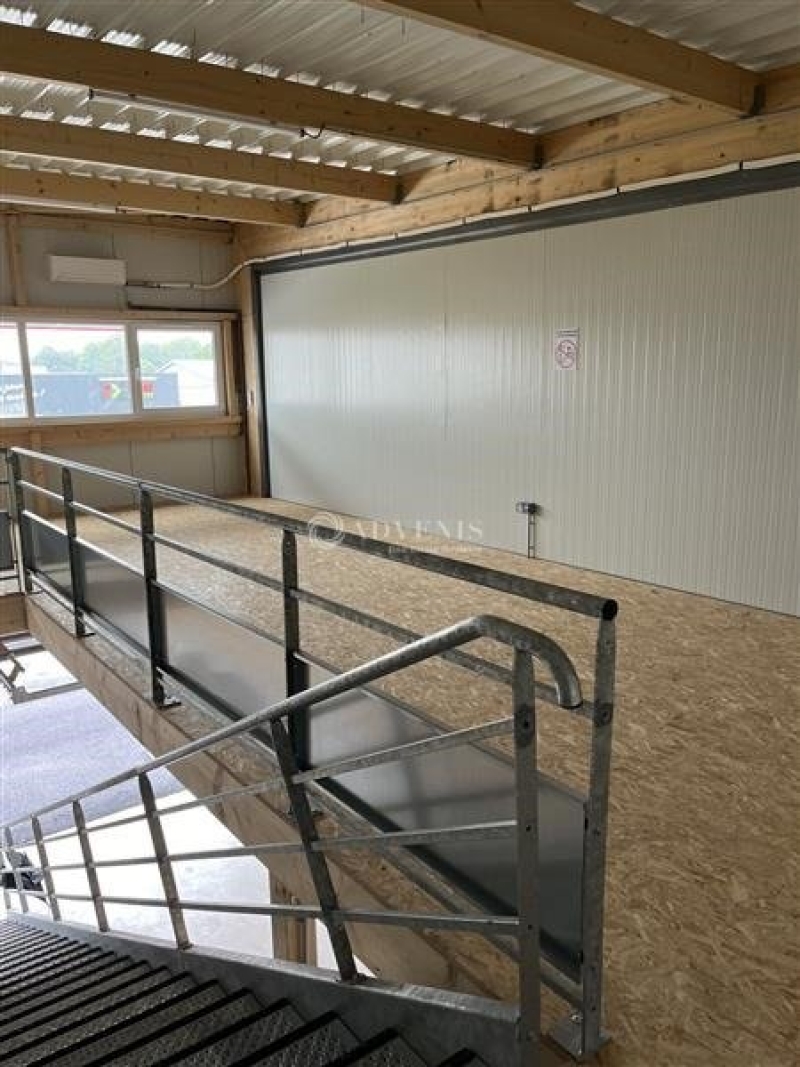 Location Activités Entrepôts ARNAGE (72230) - Photo 6