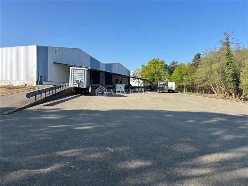 Vente Investisseur Activités Entrepôts MONTFORT LE GESNOIS (72450) - Photo 4