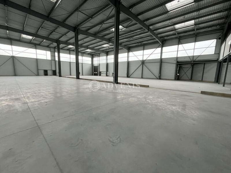 Vente Investisseur Entrepôts TORCY (77200) - Photo 9