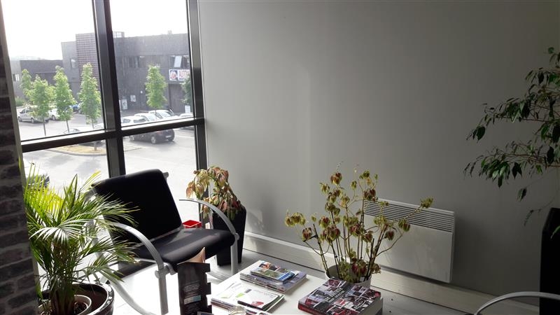 Location Activités Entrepôts CHESSY (77700) - Photo 3