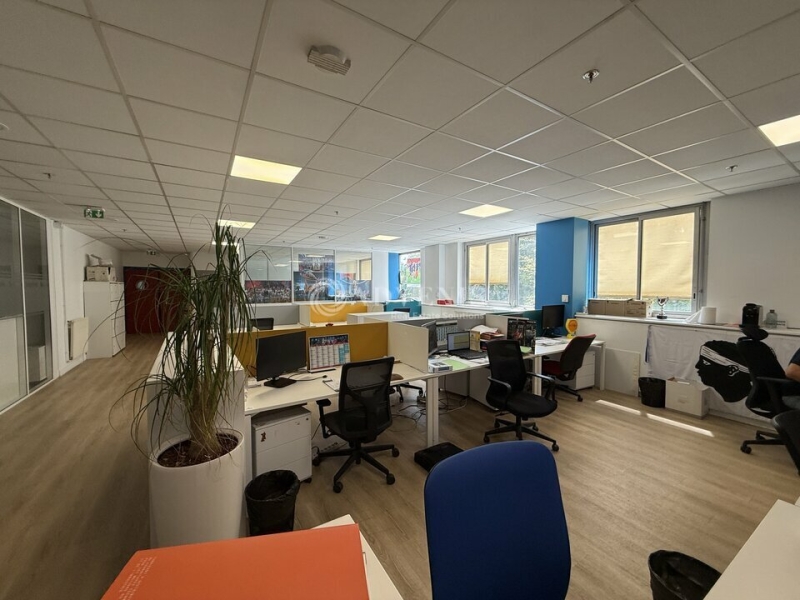 Location Entrepôts LOGNES (77185) - Photo 6