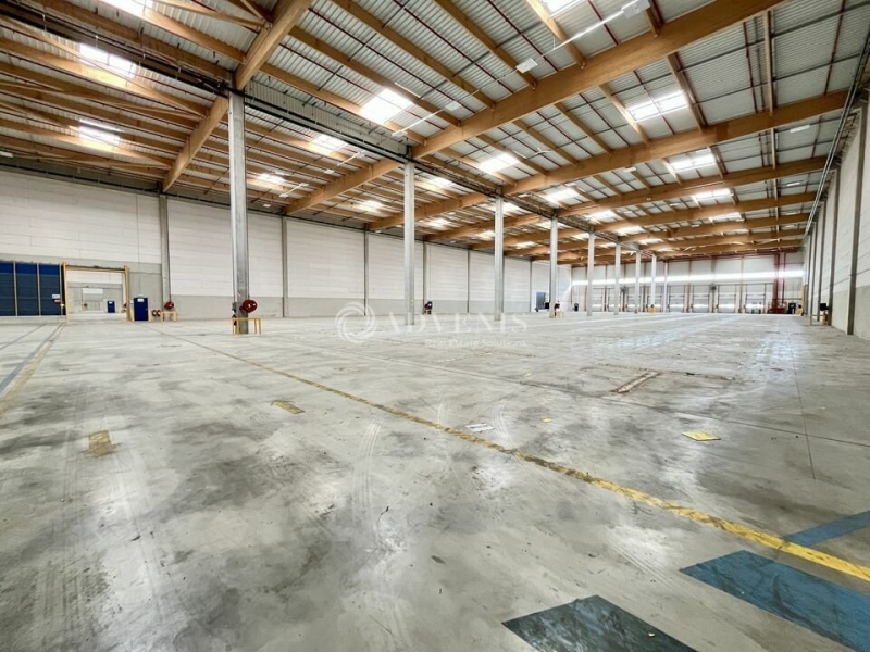 Location Entrepôts DAMMARTIN EN GOELE (77230) - Photo 5
