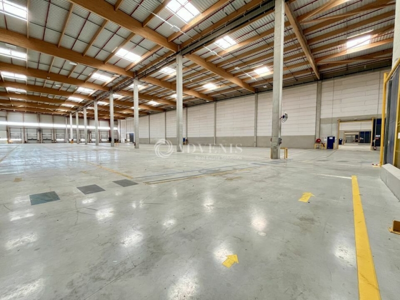 Location Entrepôts DAMMARTIN EN GOELE (77230) - Photo 6