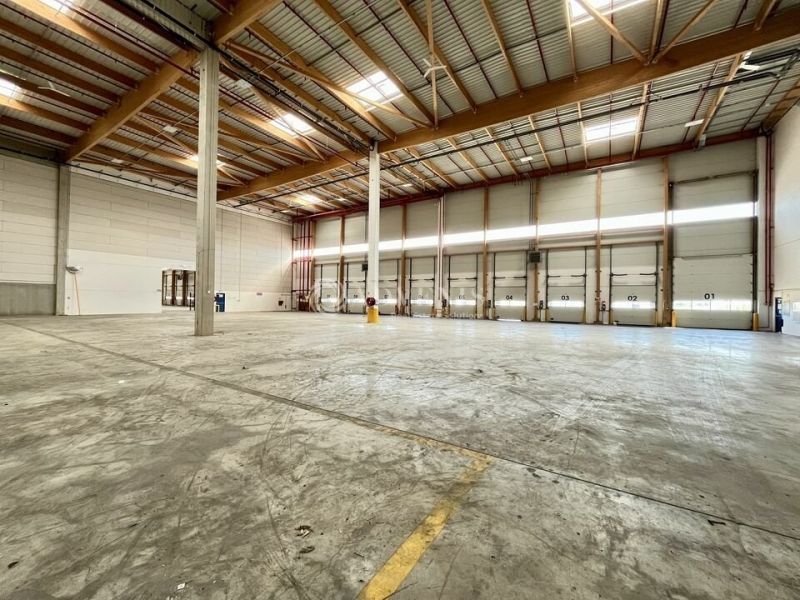 Location Entrepôts DAMMARTIN EN GOELE (77230) - Photo 7