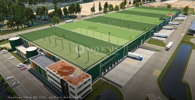 Location Entrepôts SAINT WITZ (95470) - Photo 4