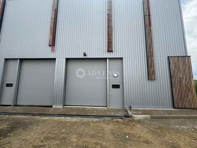 Vente Investisseur Activités Entrepôts LOUVRES (95380) - Photo 8