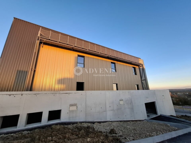 Vente Investisseur Activités Entrepôts LUDRES (54710) - Photo 8