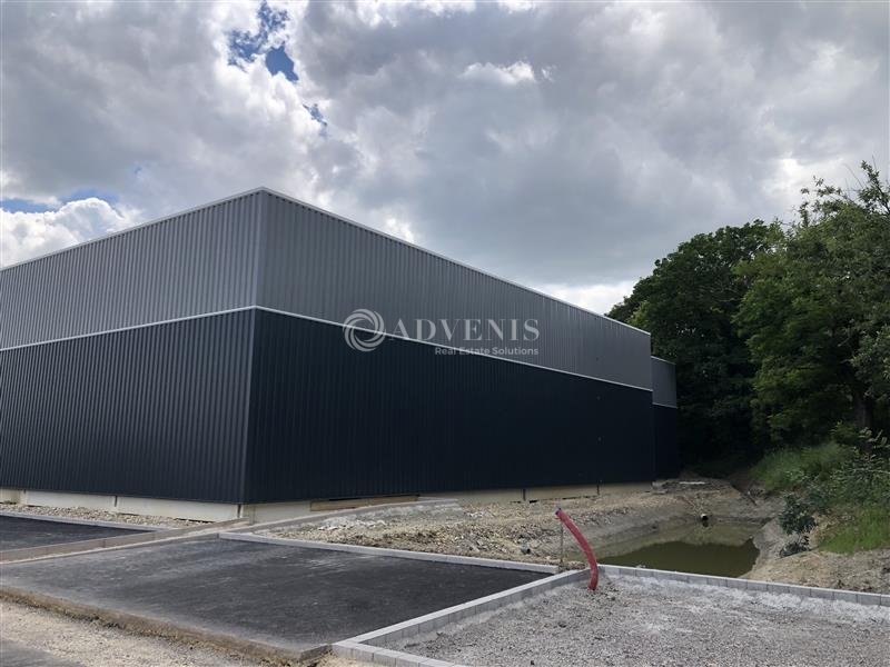 Vente Investisseur Activités Entrepôts VANDOEUVRE LES NANCY (54500) - Photo 4
