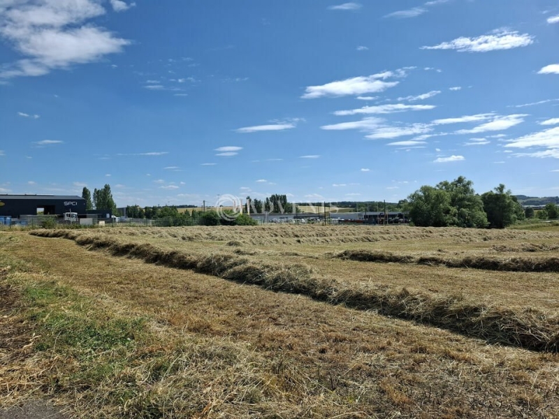 Location Activités Entrepôts LESMENILS (54700) - Photo 7