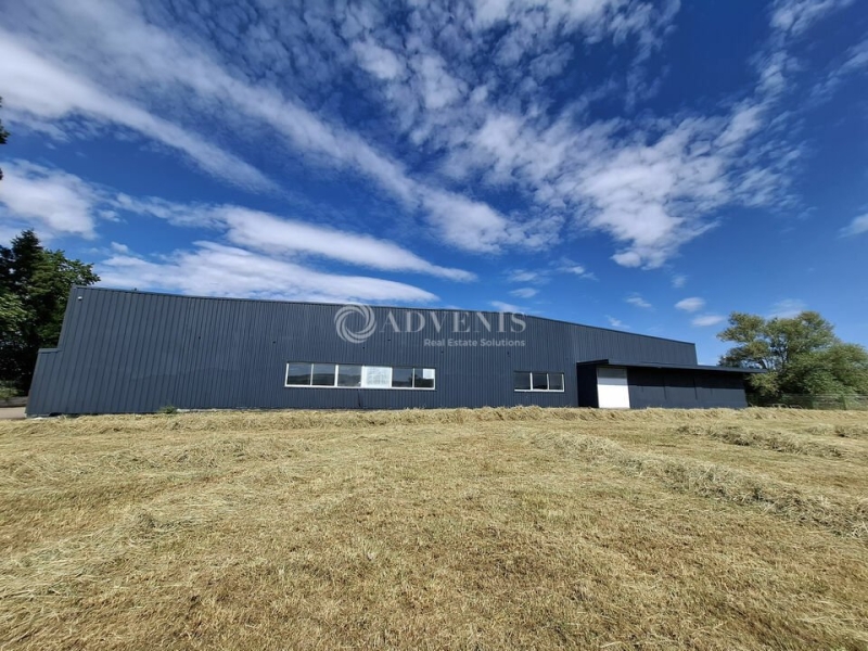 Vente Investisseur Activités Entrepôts LESMENILS (54700) - Photo 4