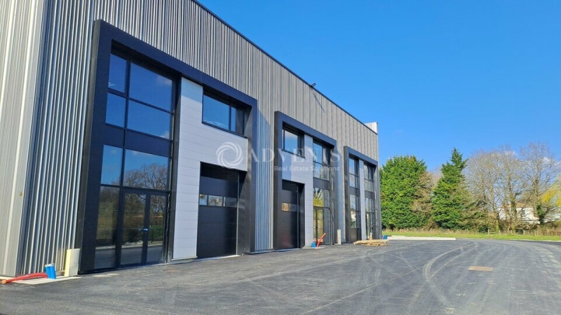 Vente Investisseur Activités Entrepôts THOUARÉ SUR LOIRE (44470) - Photo 3