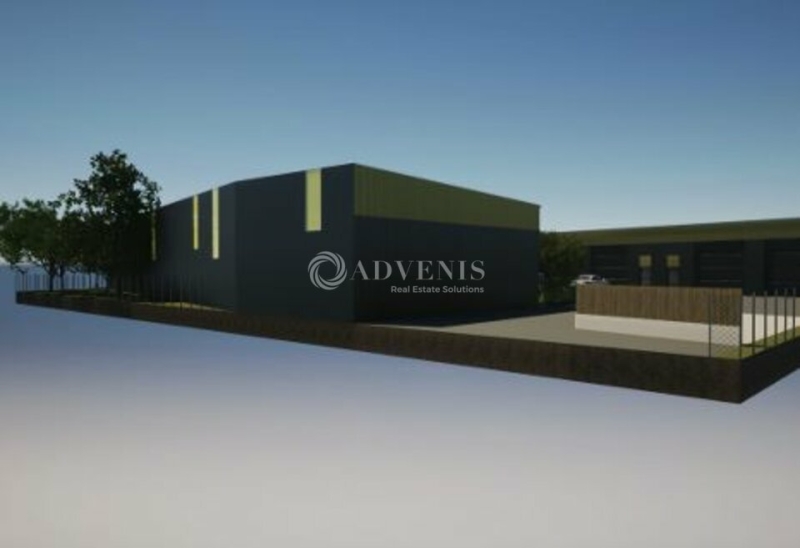 Vente Investisseur Activités Entrepôts MALVILLE (44260) - Photo 6