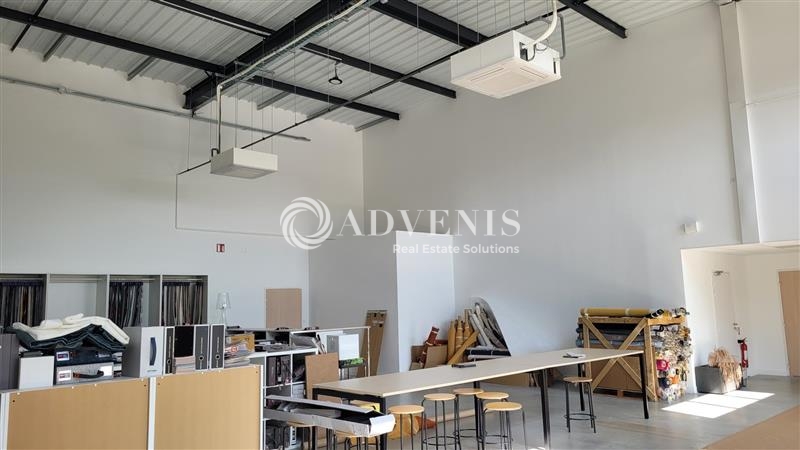 Vente Investisseur Activités Entrepôts THOUARE SUR LOIRE (44470) - Photo 4