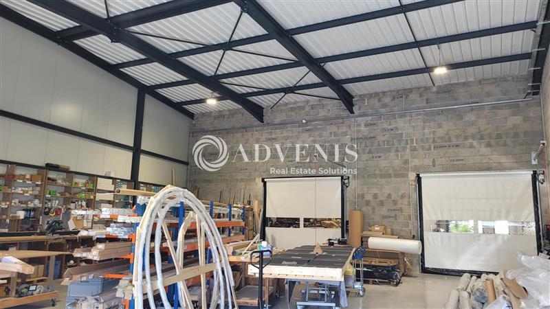 Vente Investisseur Activités Entrepôts THOUARE SUR LOIRE (44470) - Photo 5