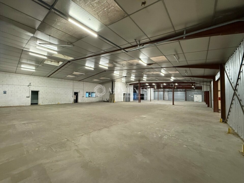 Location Activités Entrepôts INGRE (45140) - Photo 8