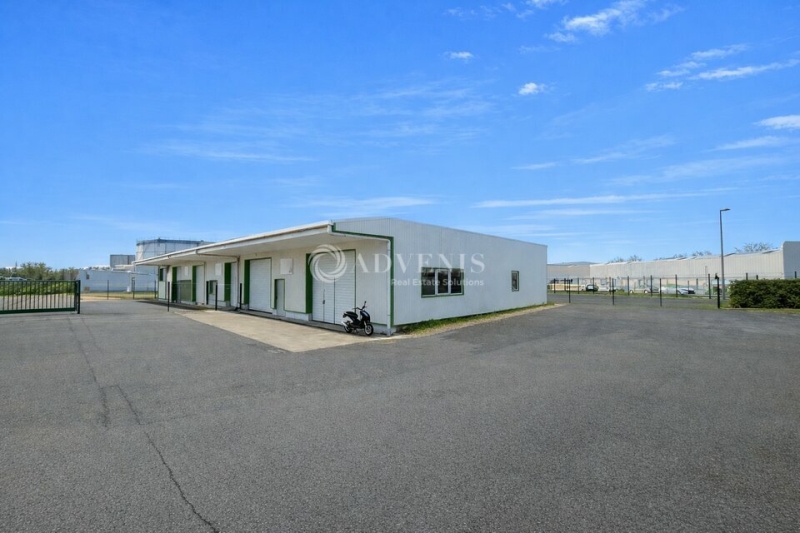 Location Activités Entrepôts SAINT JEAN DE BRAYE (45800) - Photo 1